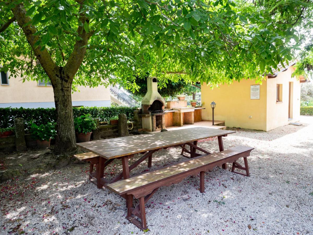 Agriturismo Casale Del Contadino 博尔塞纳 外观 照片