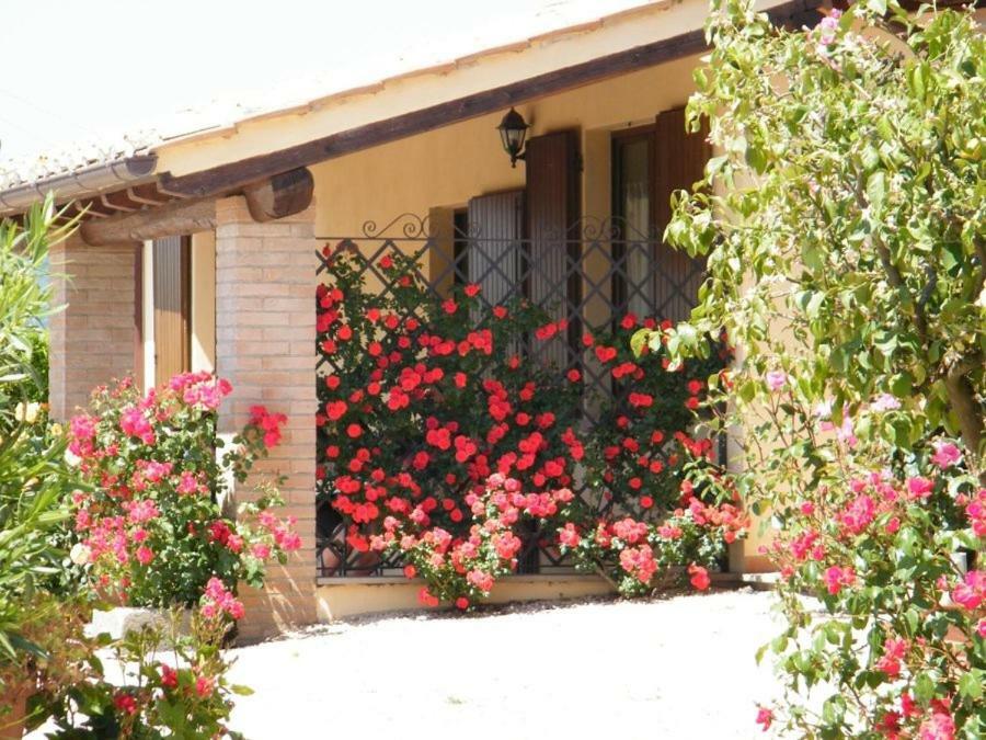 Agriturismo Casale Del Contadino 博尔塞纳 外观 照片
