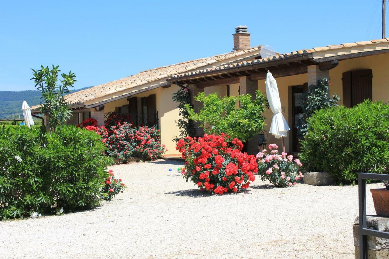 Agriturismo Casale Del Contadino 博尔塞纳 外观 照片