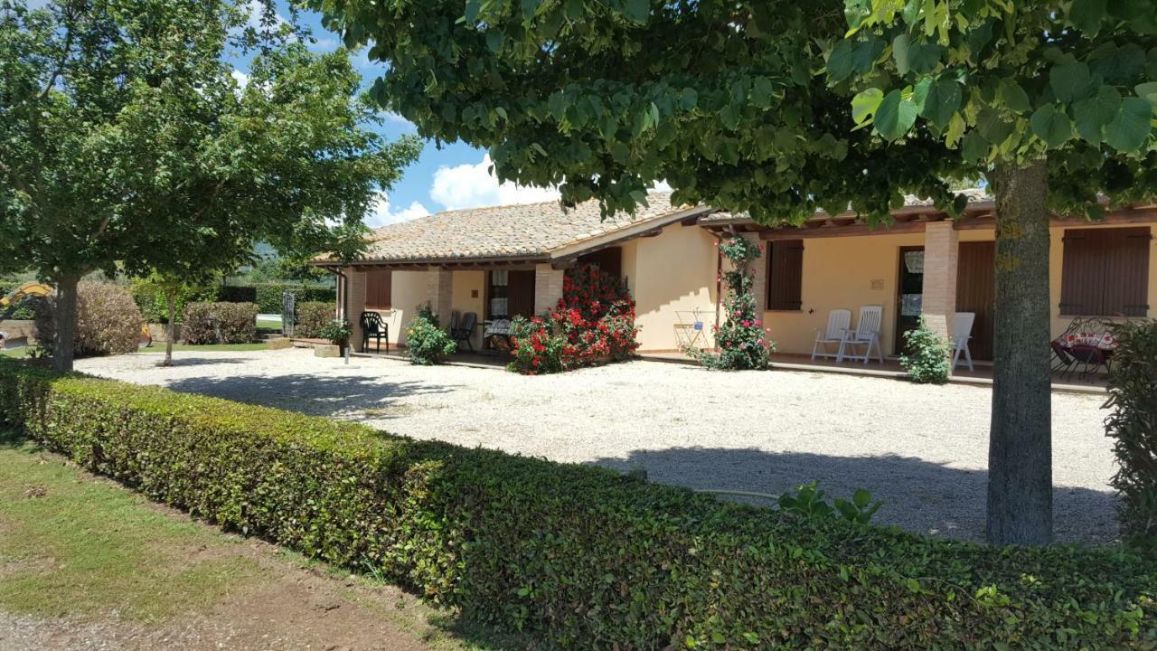 Agriturismo Casale Del Contadino 博尔塞纳 外观 照片