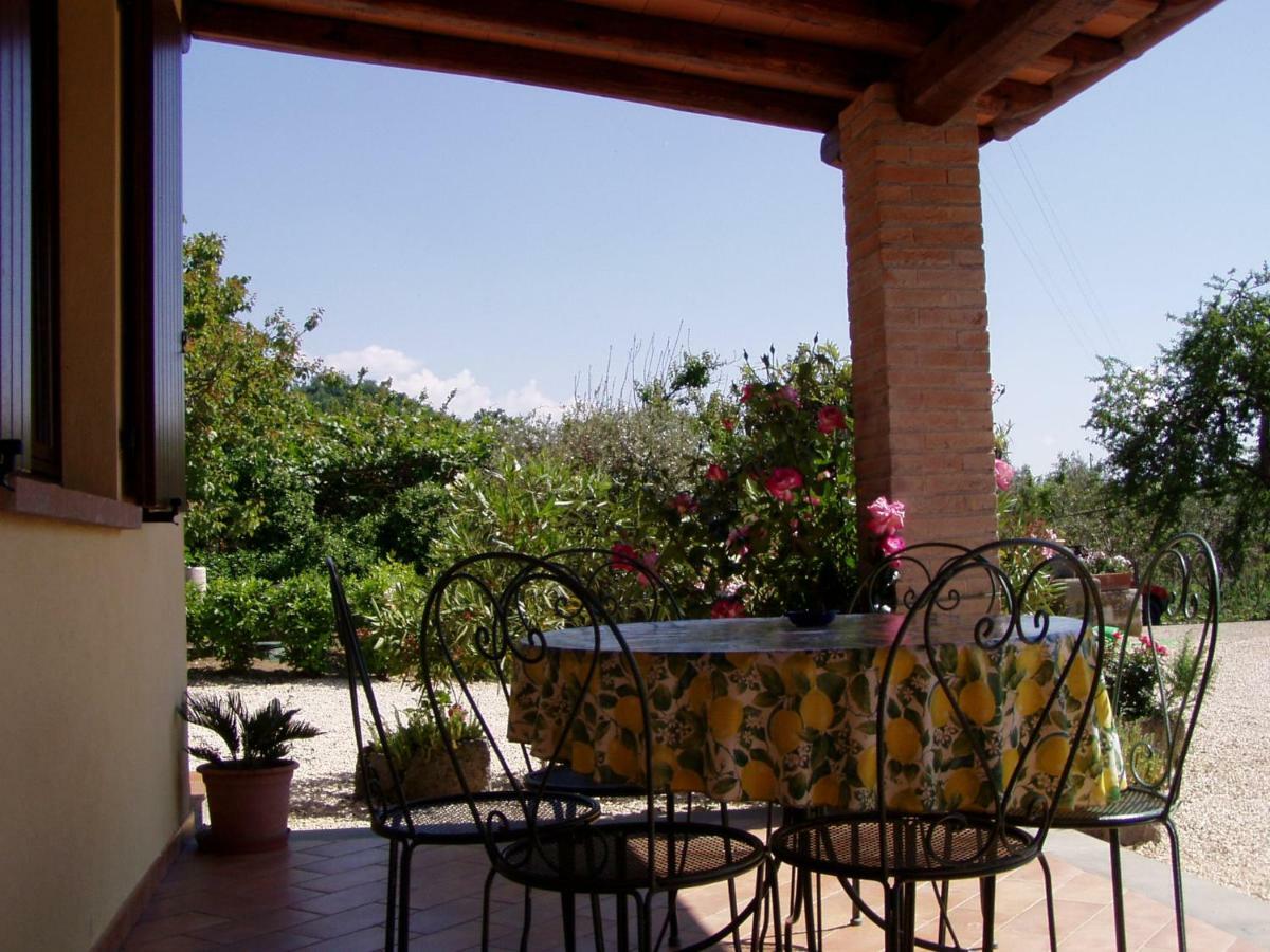 Agriturismo Casale Del Contadino 博尔塞纳 外观 照片