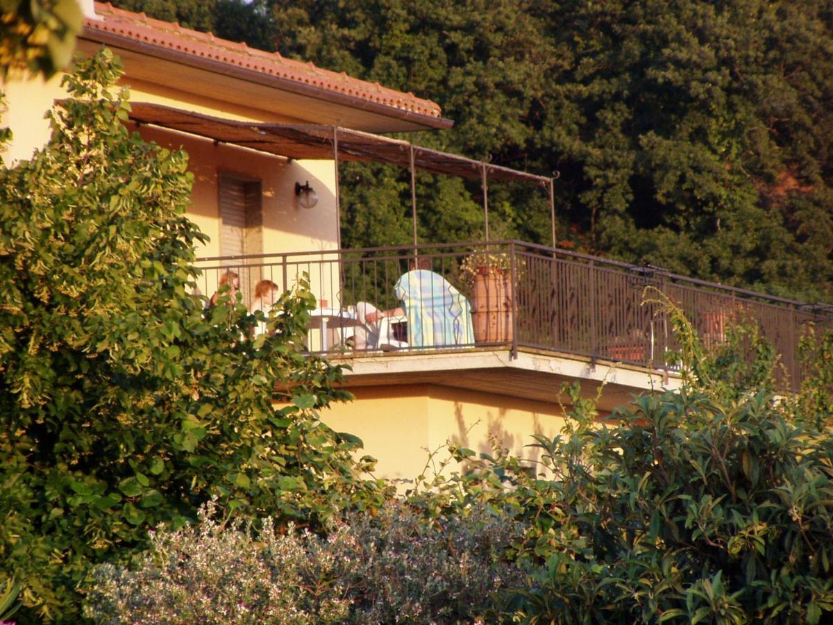 Agriturismo Casale Del Contadino 博尔塞纳 外观 照片