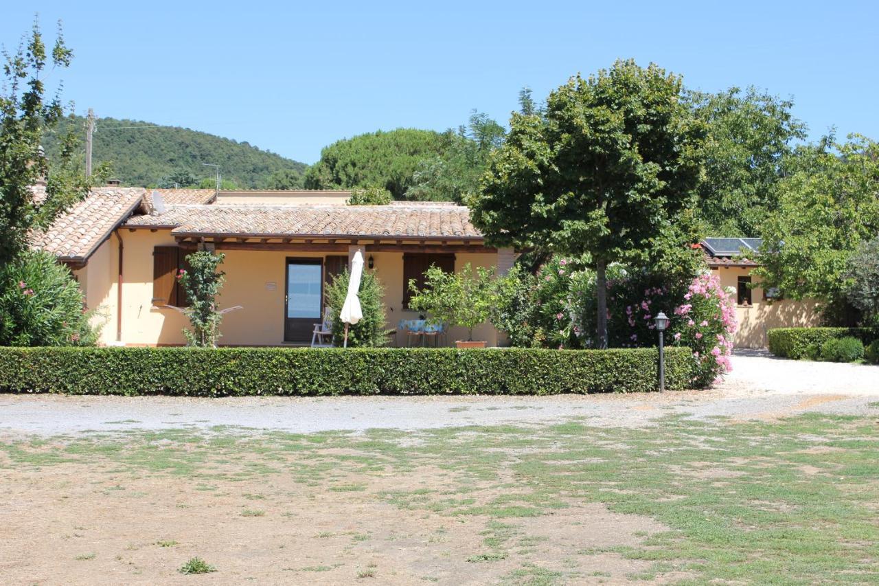 Agriturismo Casale Del Contadino 博尔塞纳 外观 照片