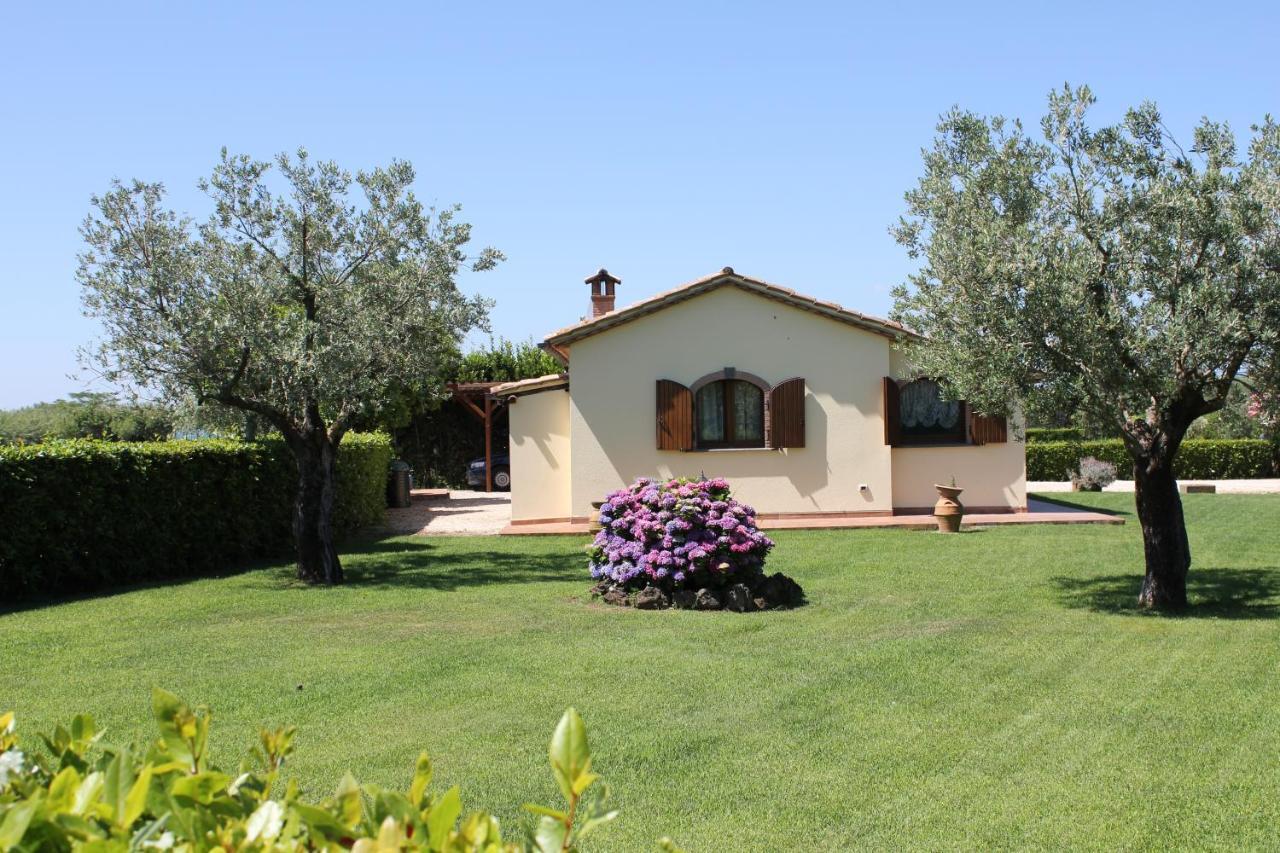 Agriturismo Casale Del Contadino 博尔塞纳 外观 照片