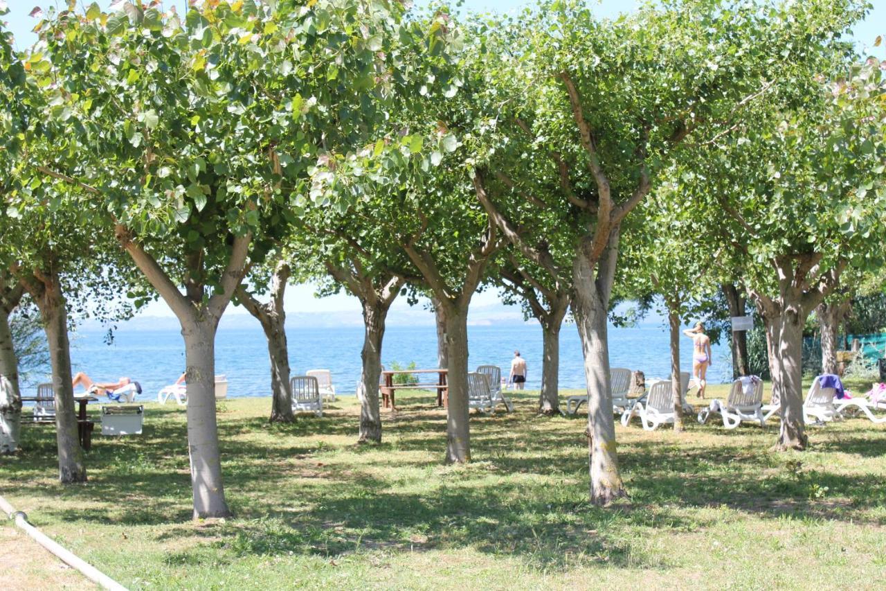 Agriturismo Casale Del Contadino 博尔塞纳 外观 照片